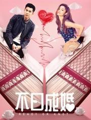 不日成婚,甜蜜爱情速成记