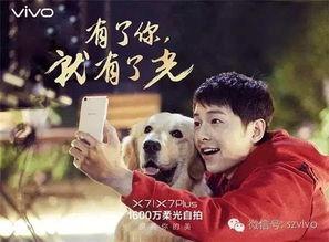 我的老公是欧巴,揭秘我的欧巴老公的浪漫人生